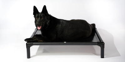 Reinforced Elevated TuffyBed